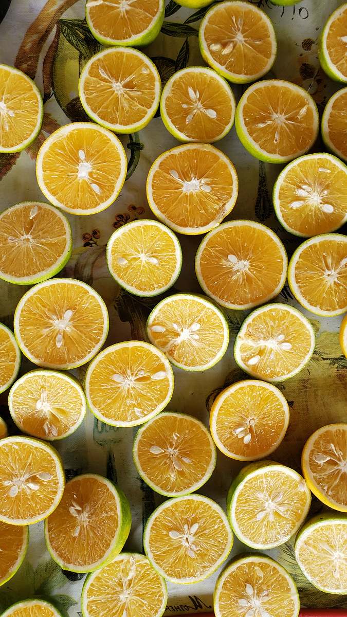 citrus fruit sliced yellow lime fruits plant